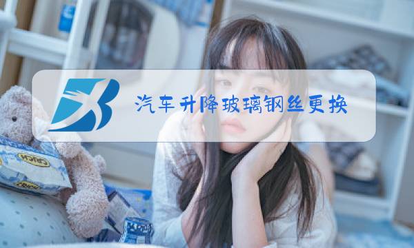 汽车升降玻璃钢丝更换图片