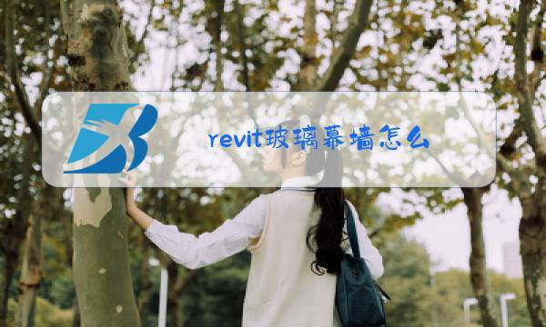 revit玻璃幕墙怎么画门图片