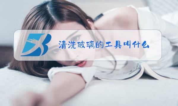 清洗玻璃的工具叫什么图片