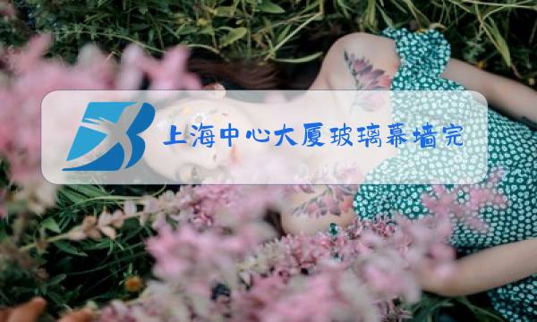 上海中心大厦玻璃幕墙完成时间图片