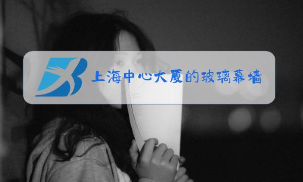 上海中心大厦的玻璃幕墙是哪个公司做的图片