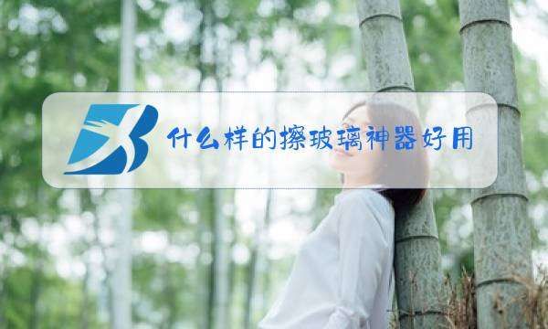 什么样的擦玻璃神器好用图片