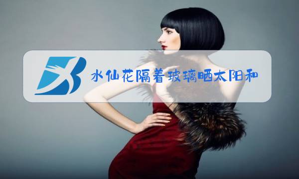 水仙花隔着玻璃晒太阳和直接晒太阳有什么区别图片