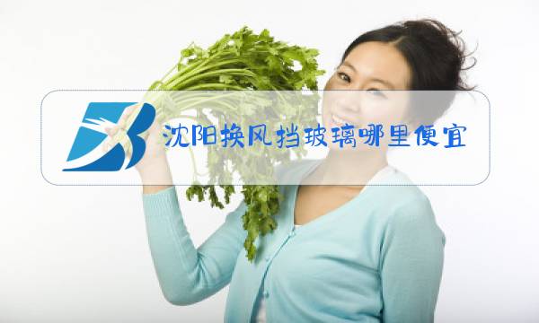 沈阳换风挡玻璃哪里便宜图片
