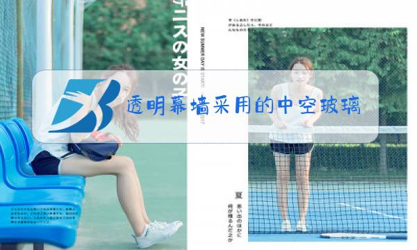 透明幕墙采用的中空玻璃实体检测图片