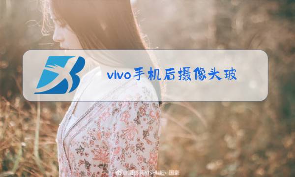 vivo手机后摄像头玻璃可以换吗多少钱图片