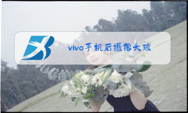 vivo手机后摄像头玻璃可以换吗图片