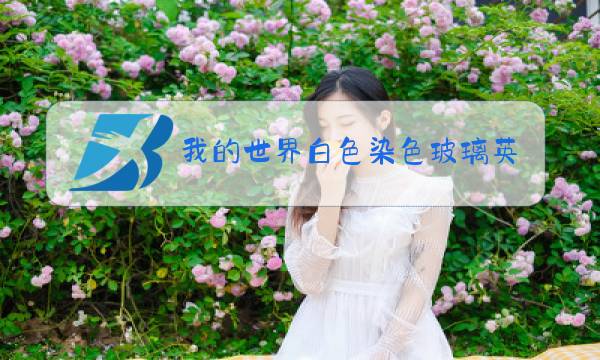 我的世界白色染色玻璃英文图片