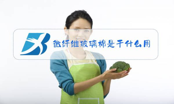 微纤维玻璃棉是干什么用的图片