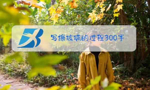 写擦玻璃的过程300字图片