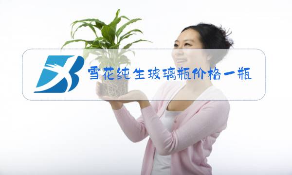 雪花纯生玻璃瓶价格一瓶图片