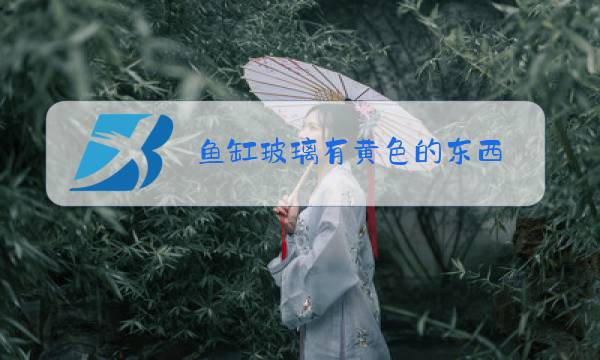 鱼缸玻璃有黄色的东西图片