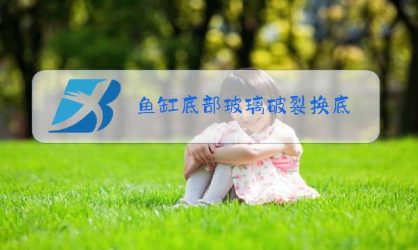 鱼缸底部玻璃破裂换底图片