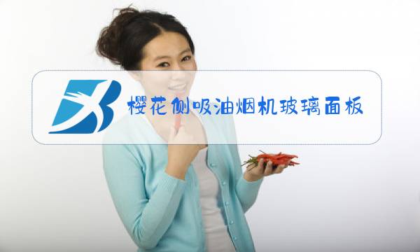 樱花侧吸油烟机玻璃面板拆卸视频图片