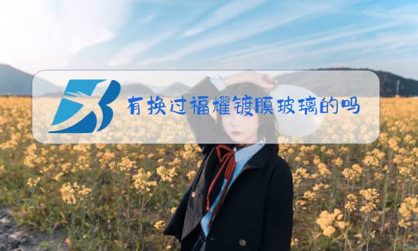 有换过福耀镀膜玻璃的吗图片