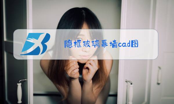 隐框玻璃幕墙cad图图片