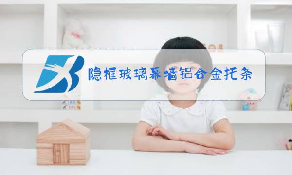 隐框玻璃幕墙铝合金托条图片