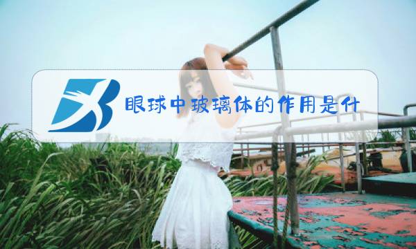 眼球中玻璃体的作用是什么图片