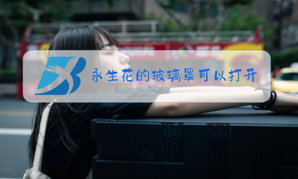 永生花的玻璃罩可以打开吗?图片