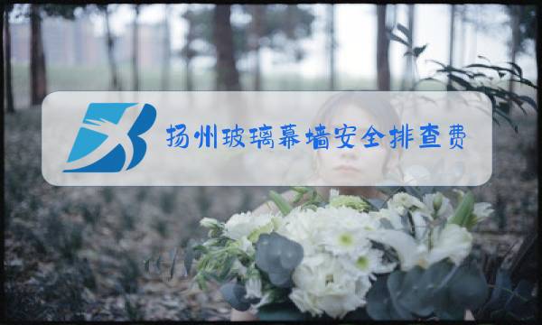 扬州玻璃幕墙安全排查费用价格图片