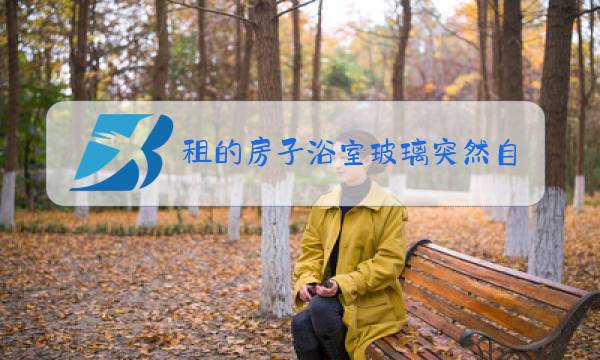 租的房子浴室玻璃突然自爆图片
