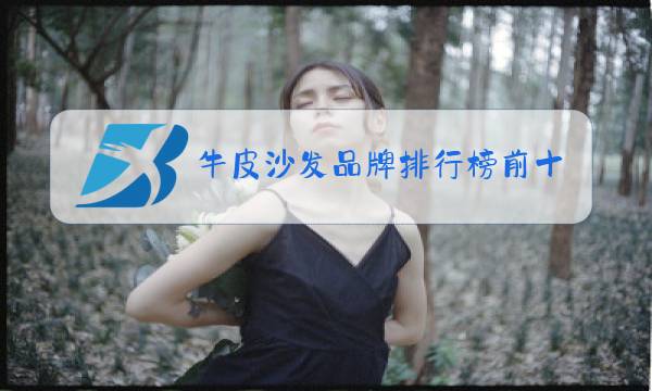 牛皮沙发品牌排行榜前十名图片