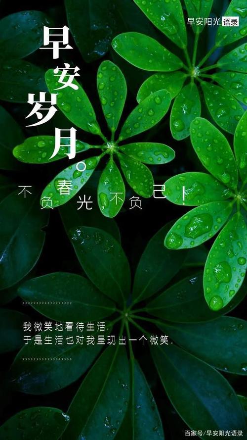 电台早安语录配图