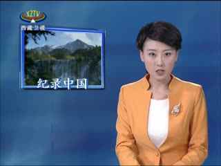 华藏电视台网络直播配图
