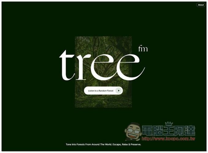 tree.fm森林音乐电台配图