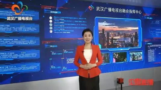 武汉电视台在线直播看配图