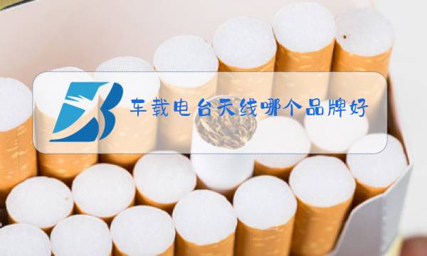 车载电台天线哪个品牌好点图片