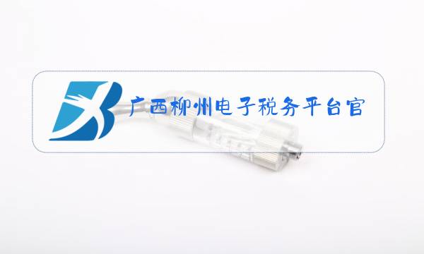 广西柳州电子税务平台官网图片
