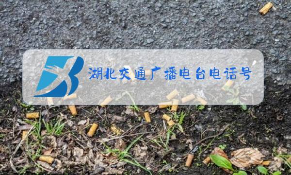 湖北交通广播电台电话号码图片