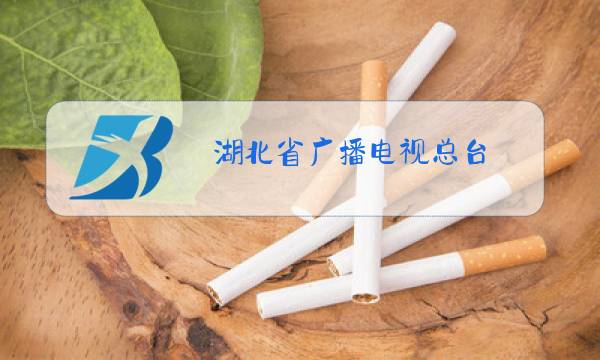 湖北省广播电视总台图片