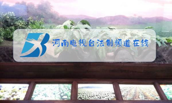 河南电视台法制频道在线直播回放图片