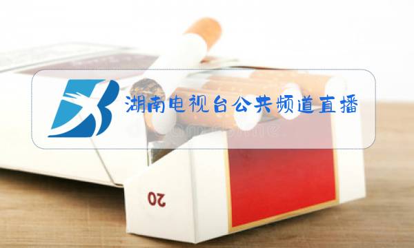 湖南电视台公共频道直播在线观看图片