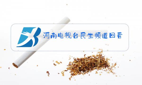 河南电视台民生频道回看图片
