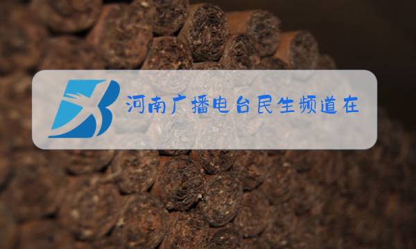河南广播电台民生频道在线直播图片