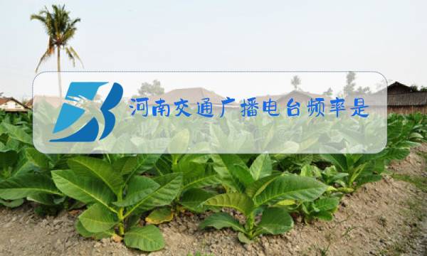 河南交通广播电台频率是多少图片