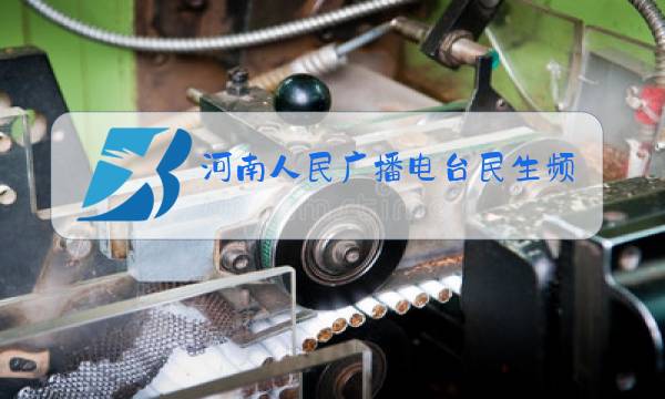 河南人民广播电台民生频道图片