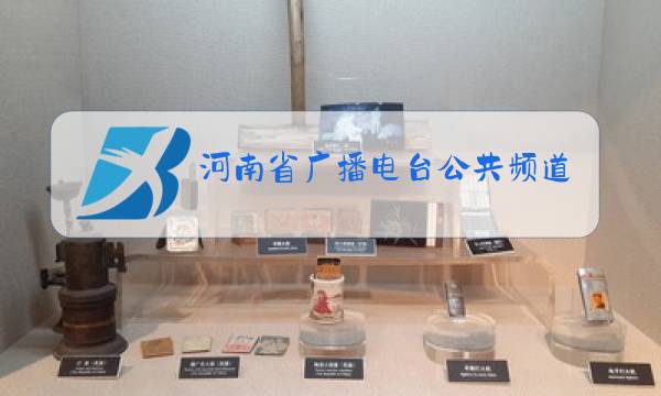 河南省广播电台公共频道图片