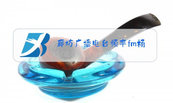 廊坊广播电台频率fm杨光图片