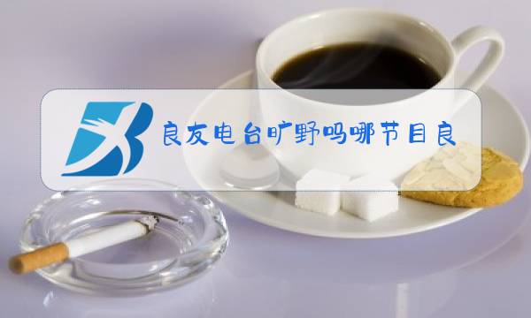 良友电台旷野吗哪节目良朋益友孙大中主持