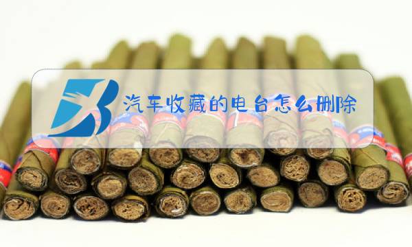 汽车收藏的电台怎么删除图片