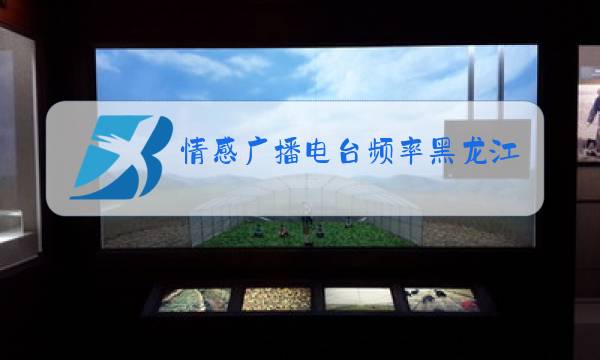 情感广播电台频率黑龙江图片