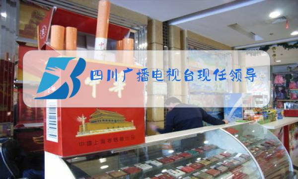 四川广播电视台现任领导班子图片