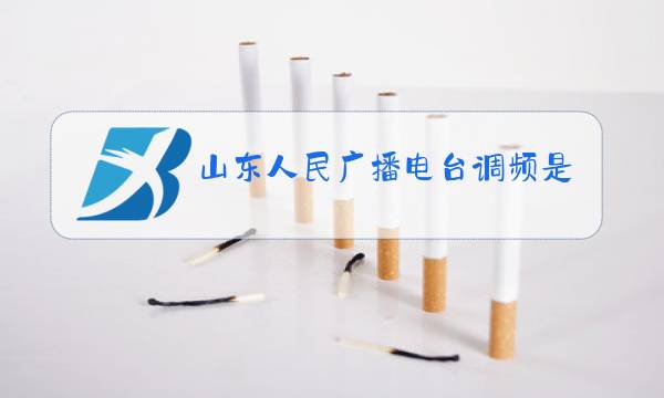 山东人民广播电台调频是多少图片