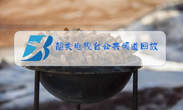 韶关电视台公共频道回放图片