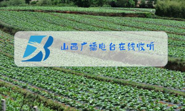 山西广播电台在线收听图片