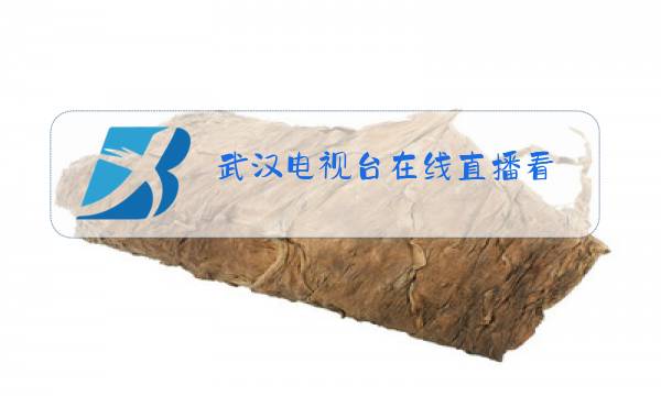 武汉电视台在线直播看图片